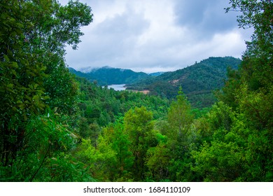 Scenic Views In Hunua Ranges, New Zealand