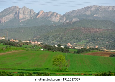 Kabylie Images Stock Photos Vectors Shutterstock