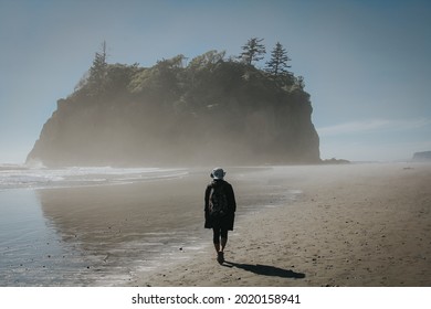 The Scenic Views Of Ruby Beach Located Along The Washington Coast. 