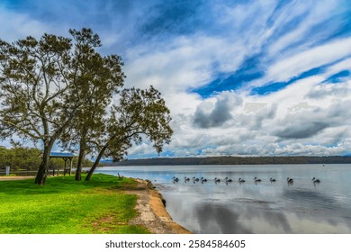 Vistas panorámicas en el lago Wallaga, que es el Grande lago en el sur de Nueva Gales del Sur, situado debajo de la impresionante montaña Gulaga. Bermagui en la costa de zafiro de Nueva Gales del Sur, Australia.