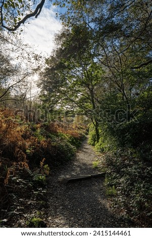 Scenic walking trail and hike near the bog of frogs in deer park, howth, county dublin, Ireland.
