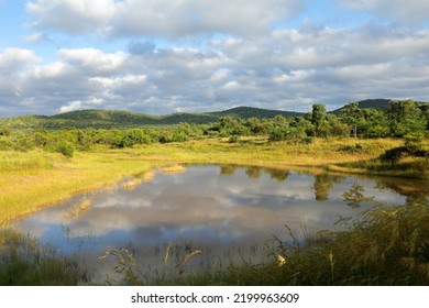 Scenic Water Pond In African Savannah Landscape, South Africa
