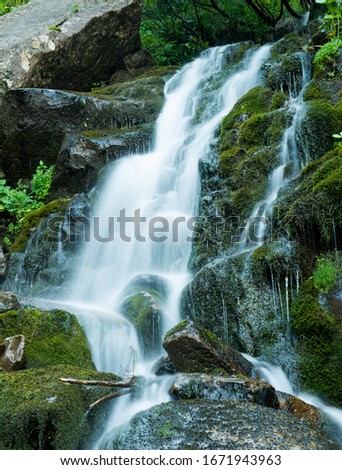 Similar – Image, Stock Photo Bear Guard Gorge Nature