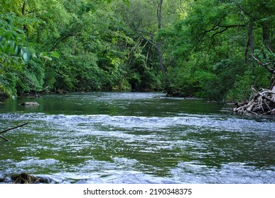 Scenic Wide Angle Shot Of Spring Creek