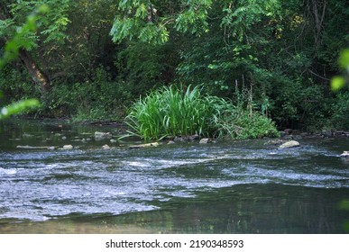 Scenic Wide Angle Shot Of Spring Creek