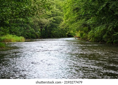 Scenic Wide Angle Shot Of Spring Creek