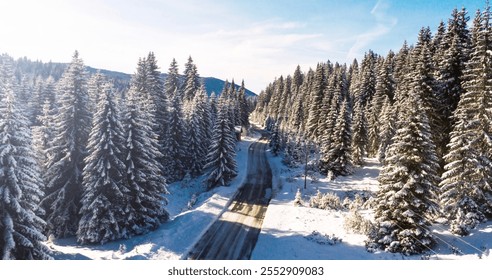 A scenic winter aerial view of a snow-covered road winding through a dense forest of frosted evergreen trees, bathed in sunlight under a clear blue sky. - Powered by Shutterstock