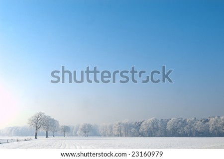 Scenic winter landscape with snow and plenty of copyspace