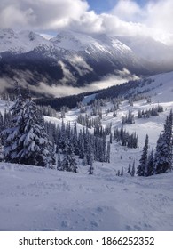 Scenic winter landscape view of snow capped mountains and trees at Whistler mountain ski resort
