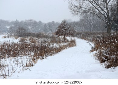 Scenic Winter Nature Background. Beautiful Rural Winter Landscape With Footprints On A Covered By Fresh Snow Path And Falling Snow. Wisconsin, Midwest USA.