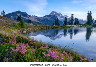 Scenic Winter View of Lake, Mountains, and flowers with Blue Sky - Powered by Shutterstock