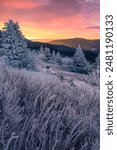 Scenic wintry sunrise along the Appalachian Trail near Carvers Gap in Tennessee