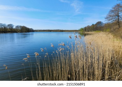 Schaalsee, Deutschland. Der See wurde im Jahr 2000 zum Biosphärenreservat erklärt.