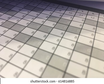 Schedule