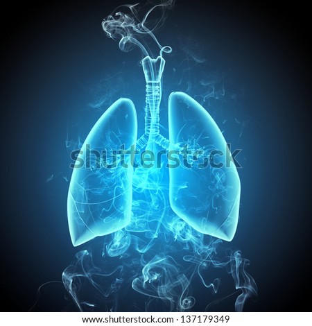 Schematic illustration of human lungs with the different elements on a colored background. Collage.