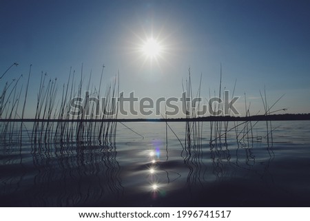 Similar – Image, Stock Photo Outside at the lake II