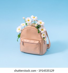 School Bag Full Of White Daisy Flowers On Pastel Blue Background. Back To School, Trendy Spring Semester Concept.