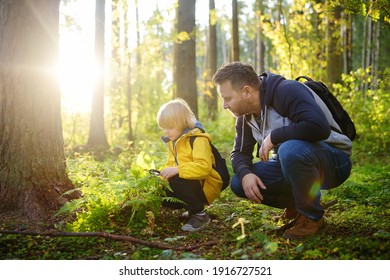 School Boy And His Father Hiking Together And Exploring Nature With Magnifying Glass. Child With His Dad Spend Quality Family Time Together In The Sunny Summer Forest. Daddy And His Little Son