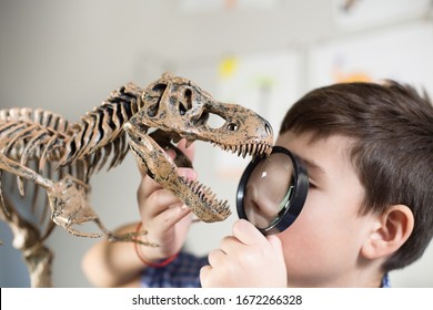 A School Boy Looking At A Dinosaur Model Through A Magnifying Glass