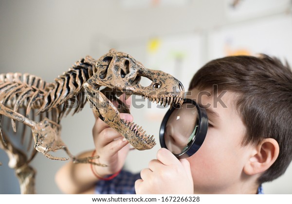 A school boy looking at a dinosaur model through a\
magnifying glass