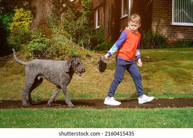 School Boy Pulls Dog Outdoors. Funny Dog Walker Training To Walk On Leash Without Pulling. Take Care Of Animal. Kid With Pet.