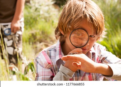 School Boys In Countryside Trip With Spider Bug And Lupe Learning Watching Studying Biology, Nature Outdoors. Child Discovery Expedition Looking At Insects With Magnifying Glass, Recreation Lifestyle.