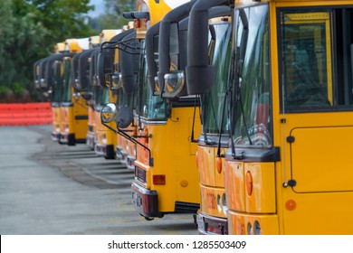 School Bus Buses Lined Up In A Row