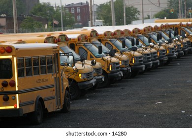 School Bus Fleet