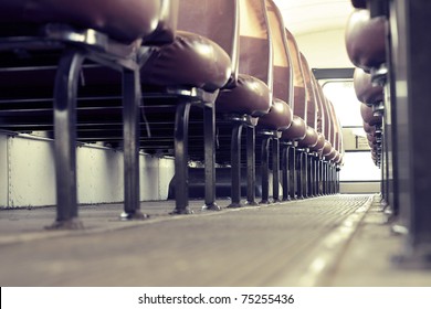 School Bus Interior