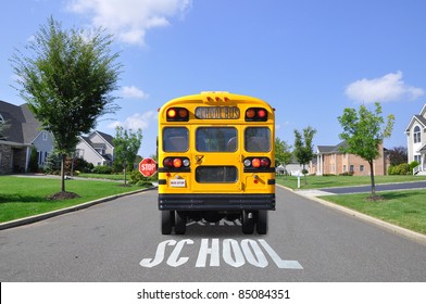 School Bus On Suburban Street With School Crossing Sign Painted On Street