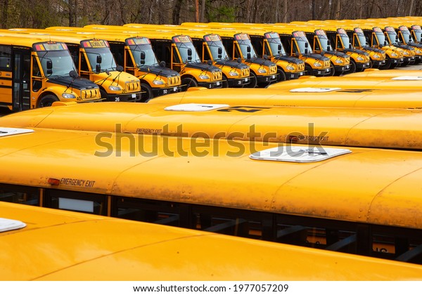 school bus parking
lot, yellow school buses