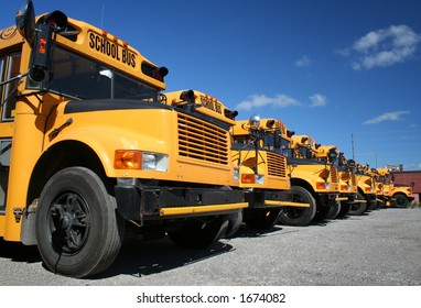 School Buses