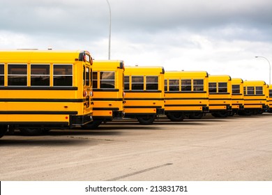 School Buses