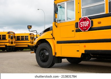 School Buses