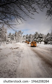 School Buses Driving Away On A Cold Day