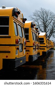 School Buses Lined Up At Public School