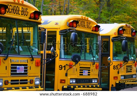 School Buses lined up in a Row, Back to School