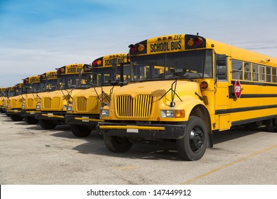 School Buses In A Parking Lot