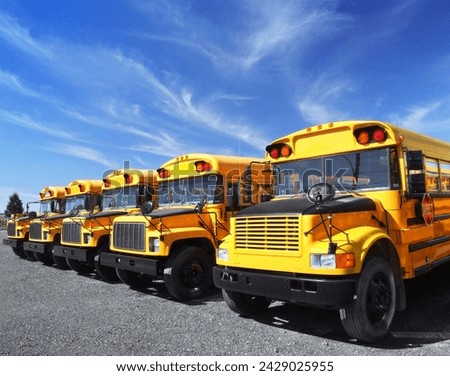 School buses in a row.