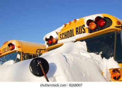 School Buses In A Row Covered With Snow On A Sunny Winter's Day.