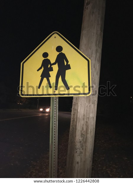 School children crossing\
sign at night