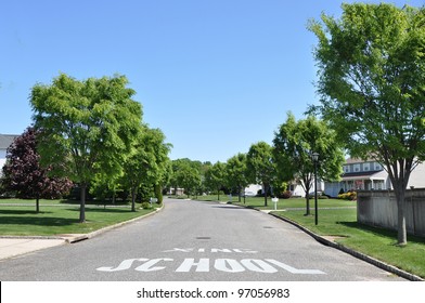 School Crossing Caution Sign on Tree Lined Quiet Sunny Beautiful Suburban Neighborhood on Blue Sky Day with Clouds