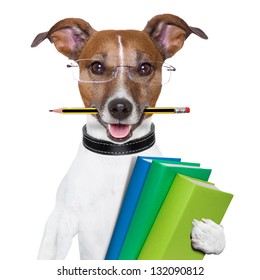 school dog with books and a pencil