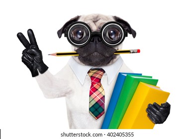 school dog with pencil in mouth