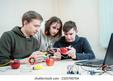 School Experiment With Apples. School Students Extract Electricity From Apples, Use Of The Energy Of A Chemical Reaction. Learning At Table STEM And STEAM Engineering Science Education Class.