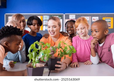 In school, female teacher showing potted plants to diverse group of curious diverse students. Education, learning, botany, classroom, teaching, diversity - Powered by Shutterstock