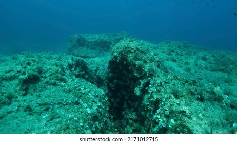 247 Cracks Seabed Images, Stock Photos & Vectors | Shutterstock