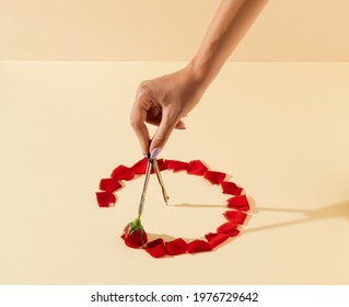 School geometric compass for drawing circle and red rose. Creative circle made of red rose petals. Minimal concept art. - Powered by Shutterstock