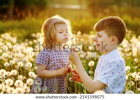 School kid boy and little baby girl blowing on a dandelion flowers on the nature in the summer. Happy healthy toddler and school children with blowballs, having fun. Family of two love, together