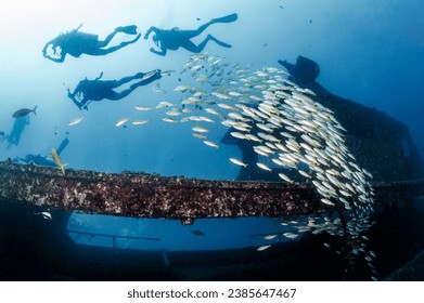 School of yellow stripe trevally fish swimming through the harruby wreck with scuba diver diving behind at Bay 1 of Racha Yai island, one of crystal clear blue water dive sites in Phuket, Thailand.